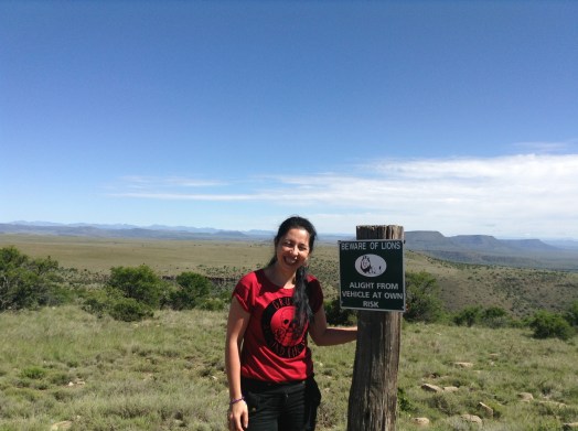 Beware lions 18.12.2013